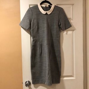 Gorgeous Collared Dress